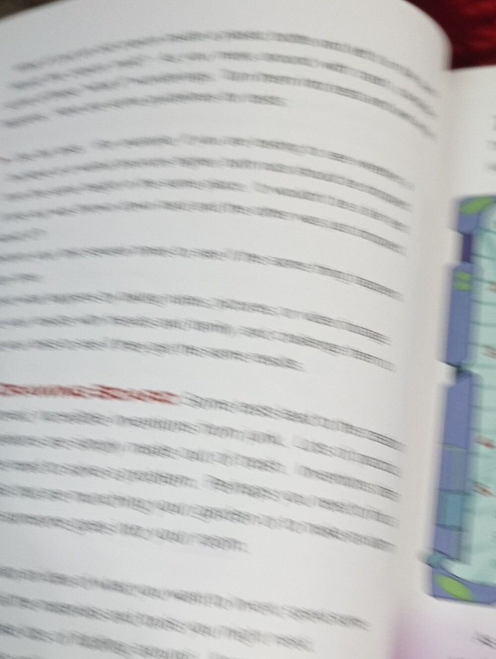 Junk Lab Science Activity Book - Yellow - Picture 9 of 16
